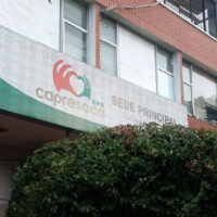 Imagen de referencia