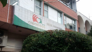 Imagen de referencia