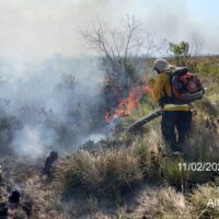 WhatsApp Image 2026-02-11 at 8.22.46 PM