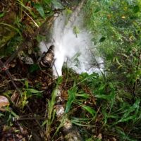 WhatsApp Image 2026-02-15 at 3.38.03 PM