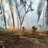 WhatsApp Image 2026-02-26 at 10.06.39 AM