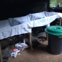 645333887_1368343481990290_6115917160734915351_n