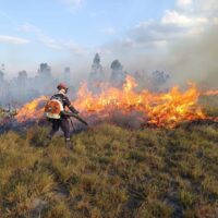 651765252_1383835913780245_1888614498141104390_n