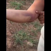 Captura de pantalla 2026-03-04 151144