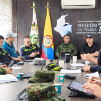 Consejo-de-seguridad-1140x694