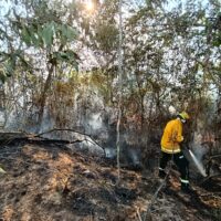 WhatsApp Image 2026-03-09 at 2.29.33 PM