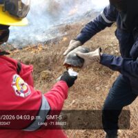 WhatsApp Image 2026-03-18 at 3.18.11 PM