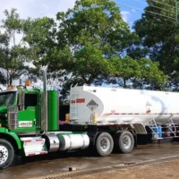 Imagen de referencia