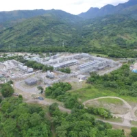 Planta-Florena-scaled