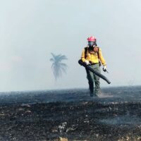 WhatsApp Image 2026-04-08 at 8.44.18 PM (1)