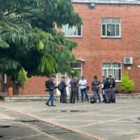 colegio-luis-hernandez-muerte-nisa33