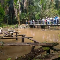 puente-el-raton-vereda-el-toro-trinidad22