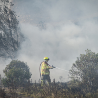 FOTOS TAMAÑO WEB EL NUEVO SIGLO - 2026-08-16T160017.855